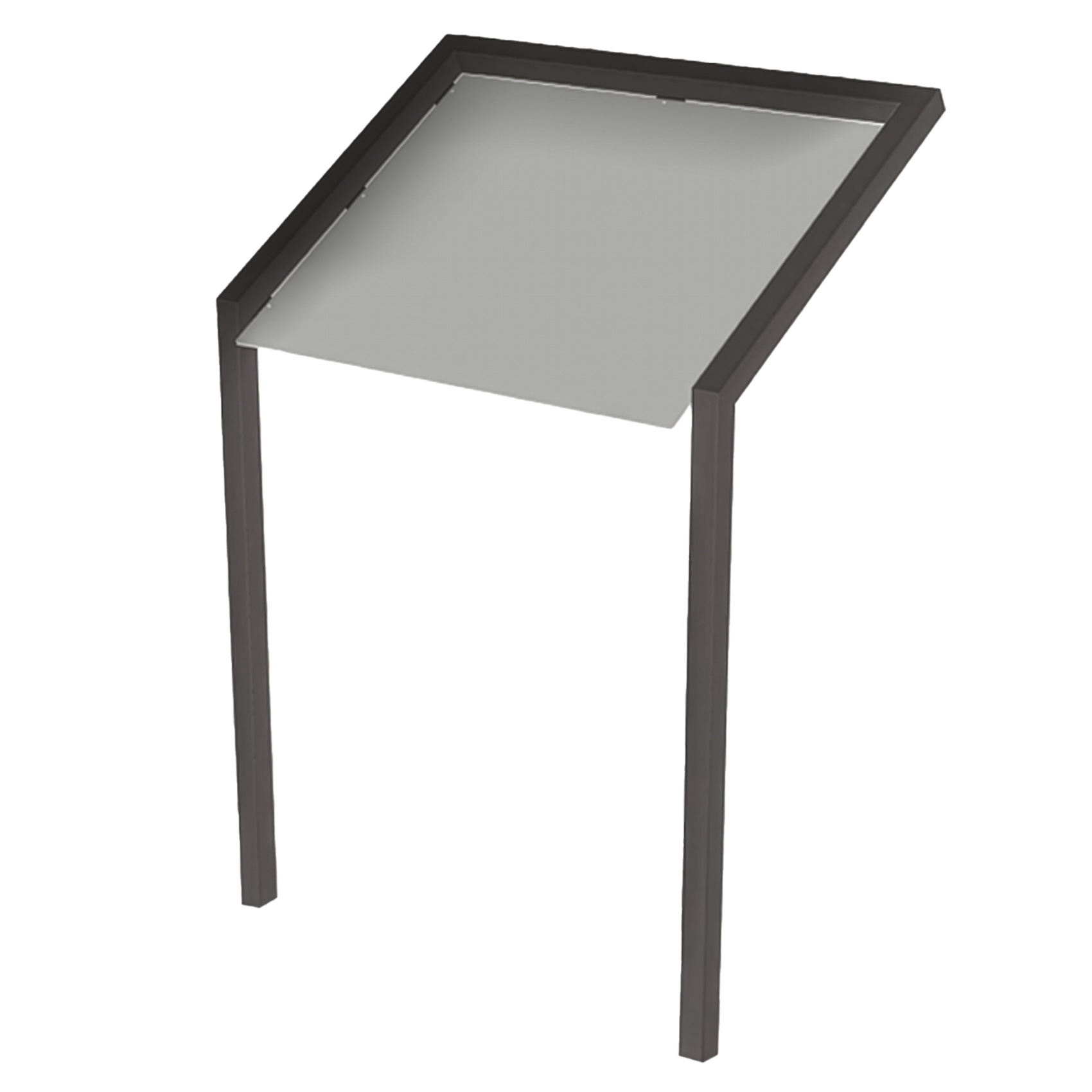 Lessenaar/Informatiepaneel RVS